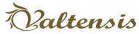 Valtensis Logo